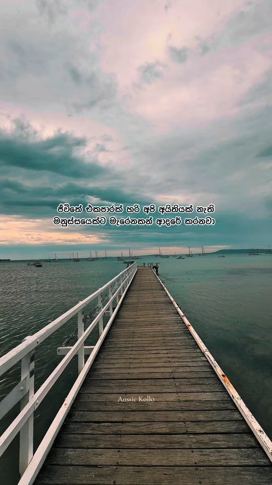 TikTok video thumbnail by aussie_kollo