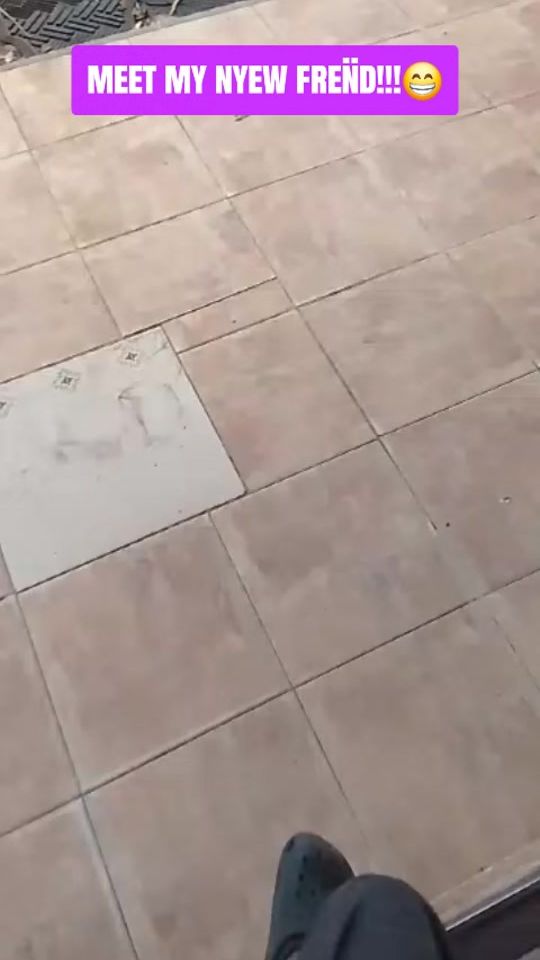 TikTok video thumbnail by monochromantic