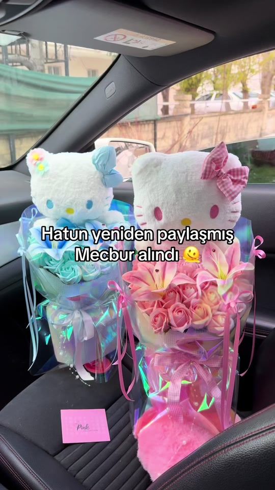TikTok video thumbnail by pink_colleection