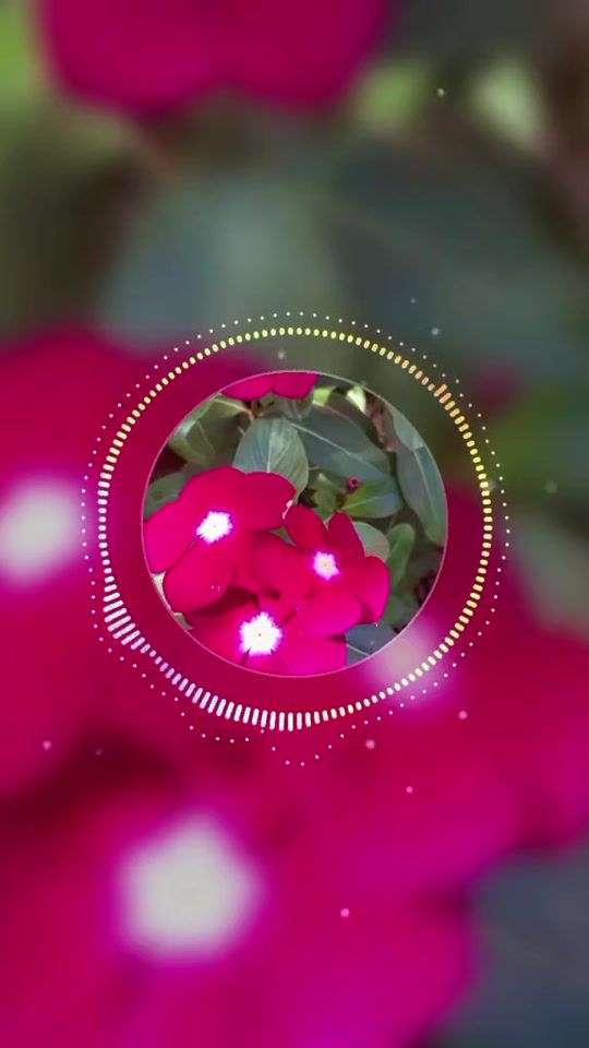 TikTok video thumbnail by .............aa141