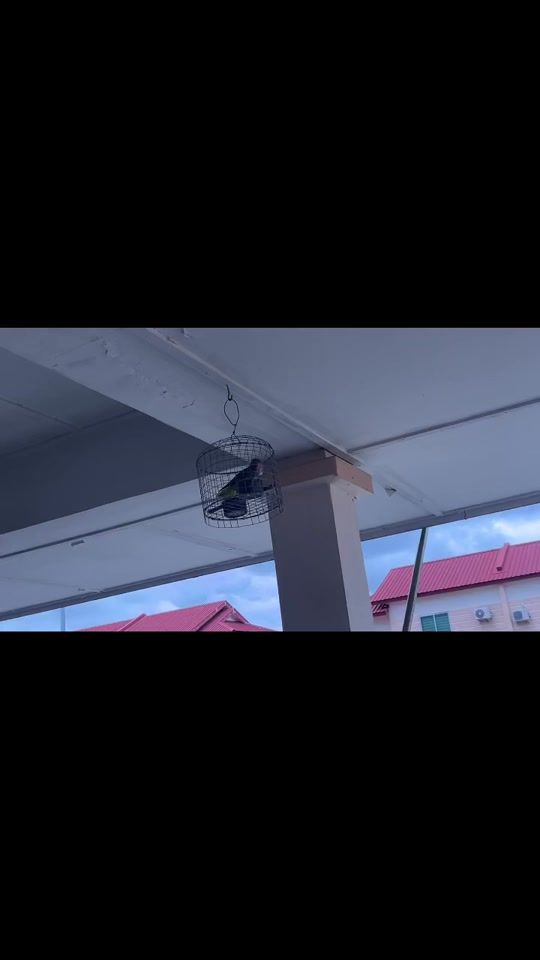 TikTok video thumbnail by user6126840413155