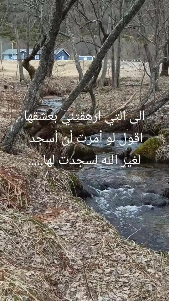 TikTok video thumbnail by naser.970.d