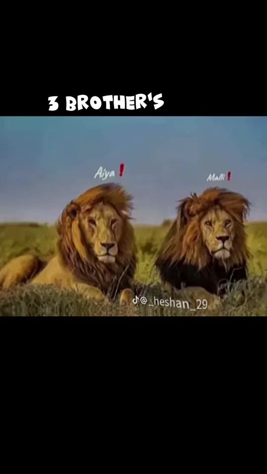TikTok video thumbnail by sahan.jay0