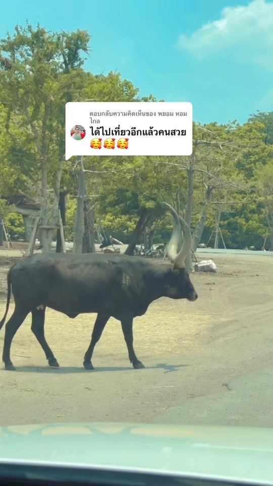 TikTok video thumbnail by wattana.l