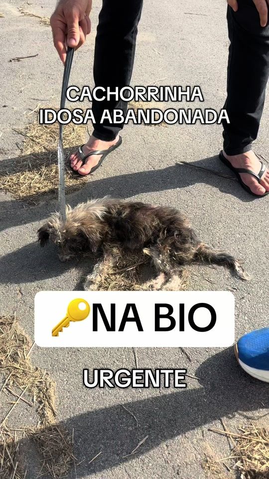 TikTok video thumbnail by institutoroses