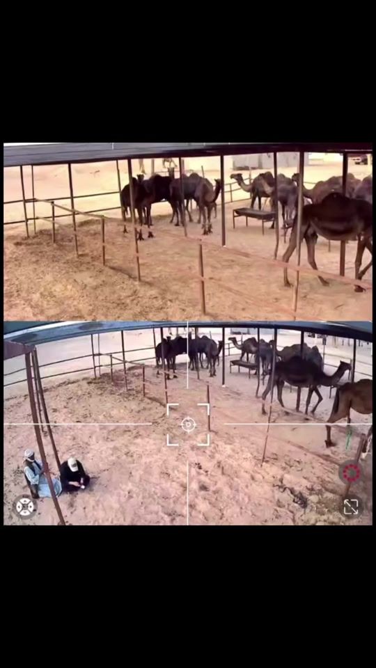 TikTok video thumbnail by hamad.atawi