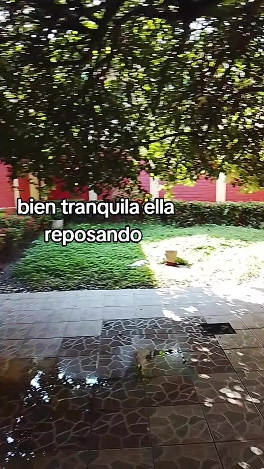 TikTok video thumbnail by nikkiosor