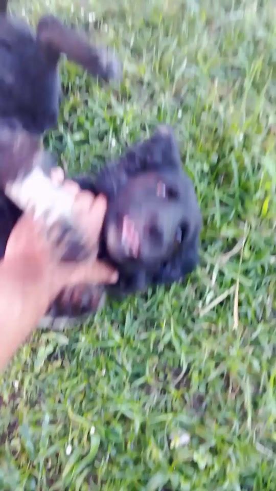 TikTok video thumbnail by edgarsamudio196