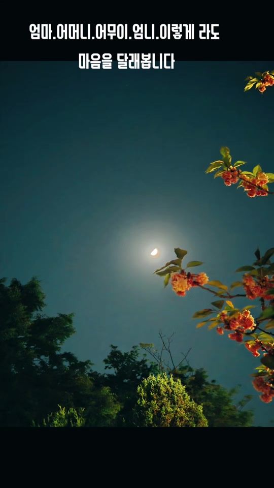 TikTok video thumbnail by .james.roh