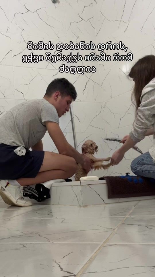 TikTok video thumbnail by tikko_lu