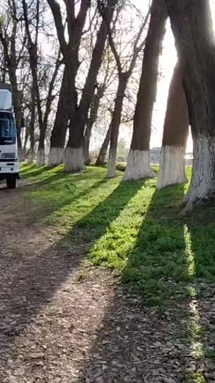 TikTok video thumbnail by sherzodpardayev70