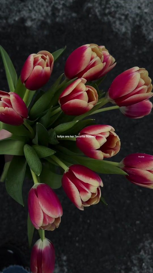 TikTok video thumbnail by designwithamara