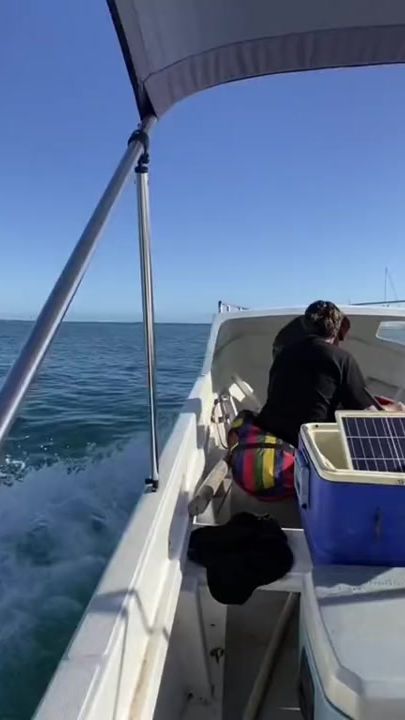 TikTok video thumbnail by bloomfield676