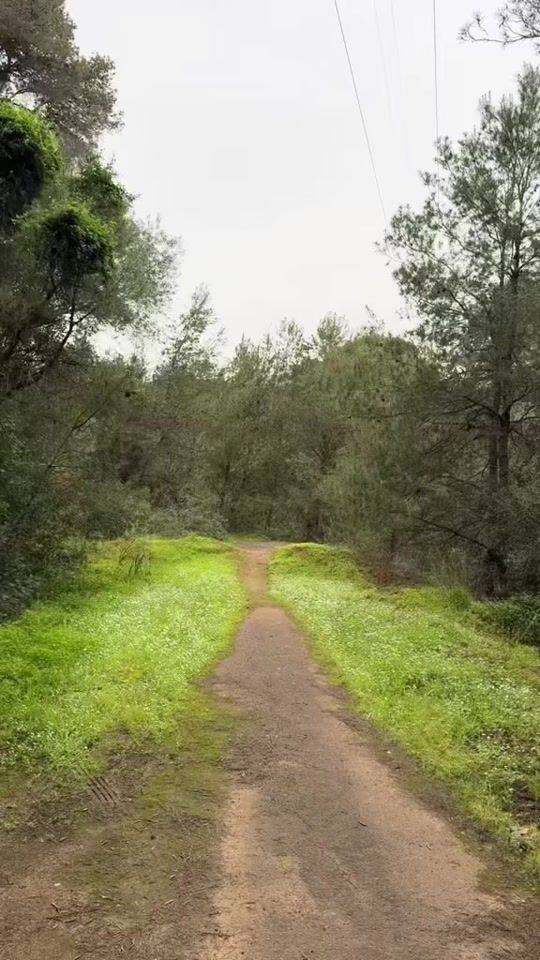 TikTok video thumbnail by anis.siso3