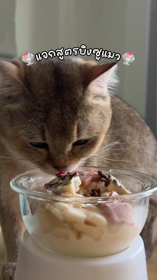 TikTok video thumbnail by mawmaw.lee