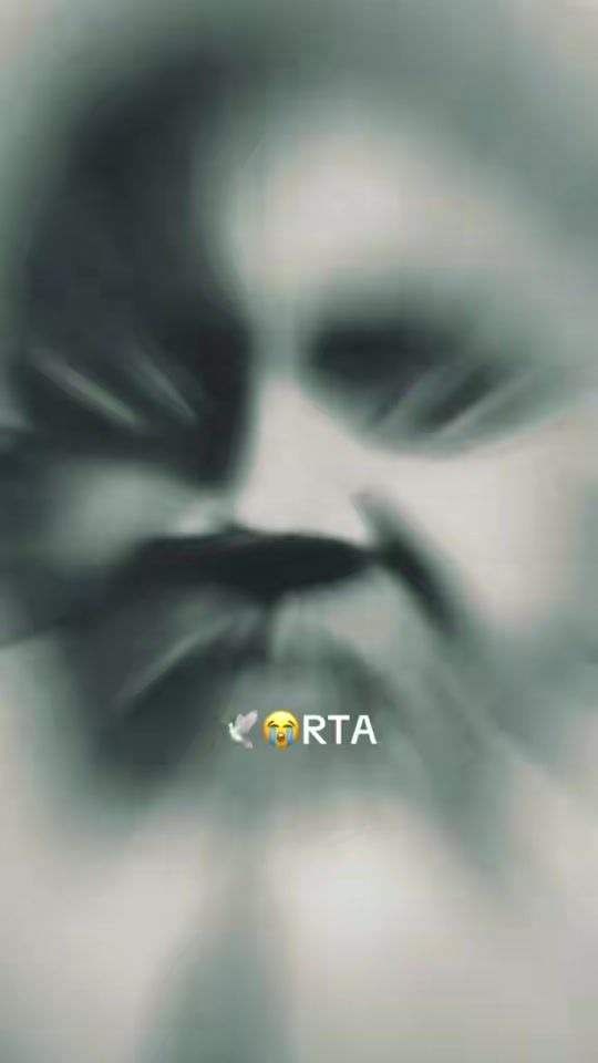 TikTok video thumbnail by falaboudatv