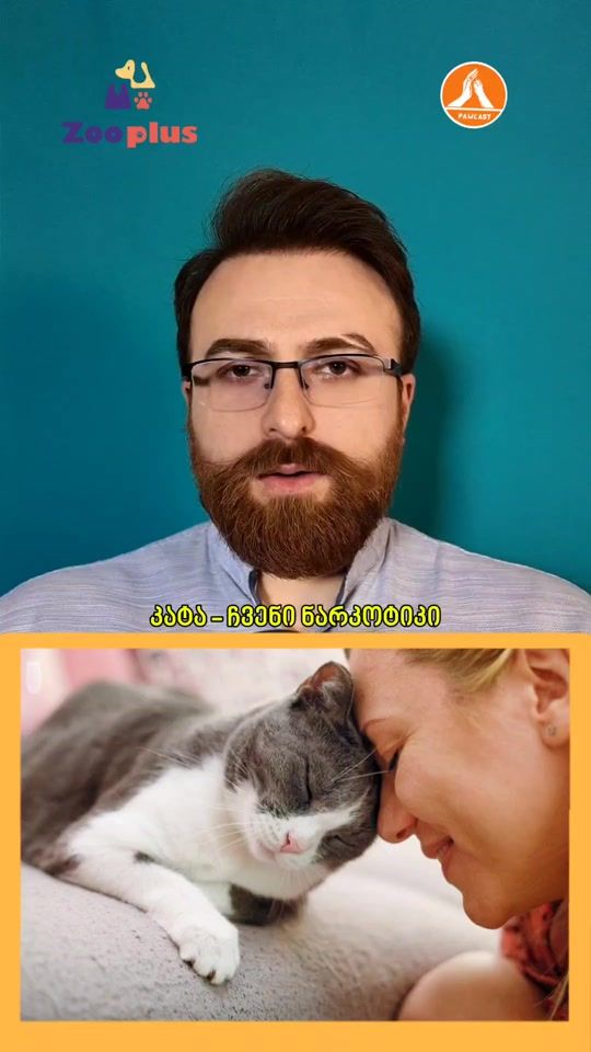 TikTok video thumbnail by pawcast_