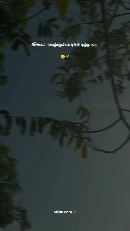 TikTok video thumbnail by 3viramalliofficial2037