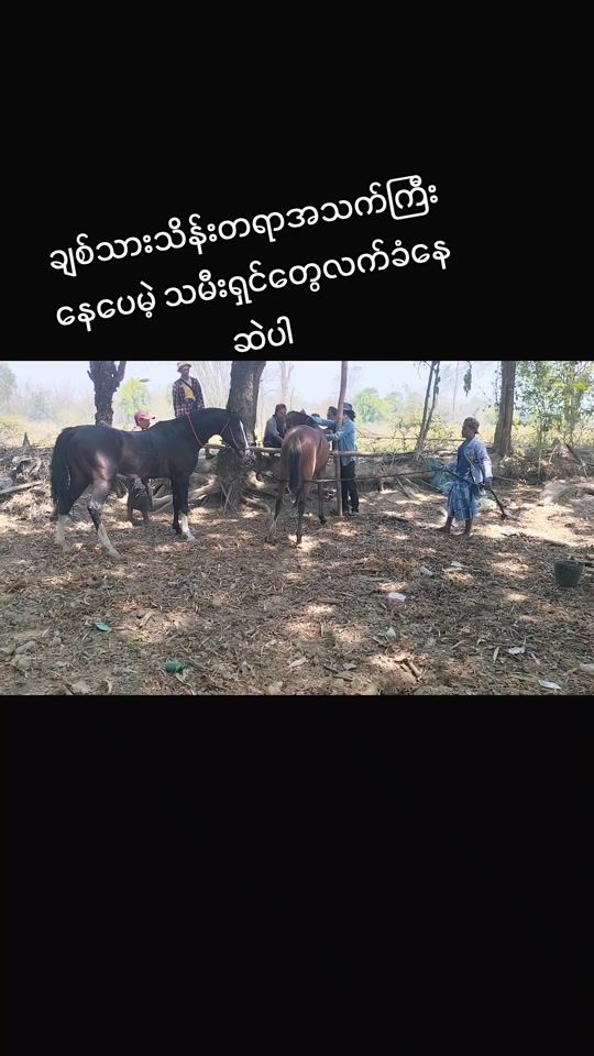 TikTok video thumbnail by www.saimgmg