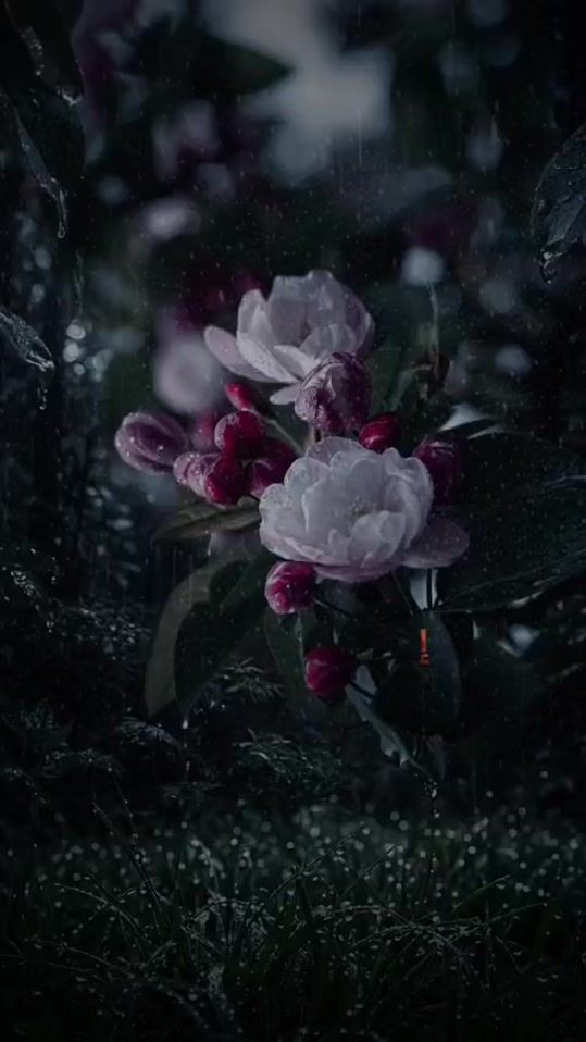 TikTok video thumbnail by 1_ahmad_d