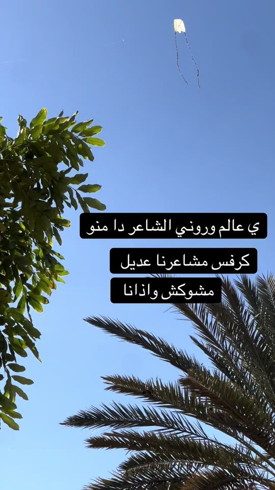 TikTok video thumbnail by rnoua0