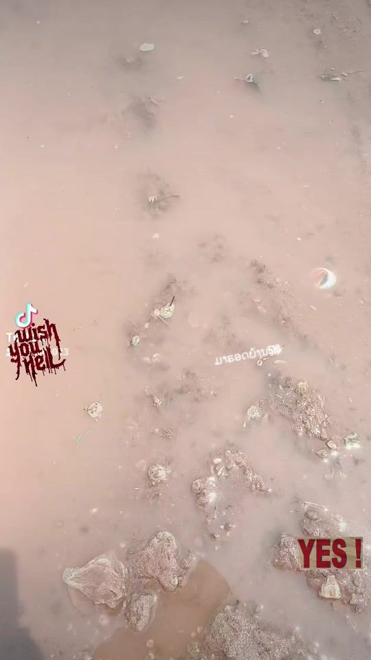 TikTok video thumbnail by toojlis023