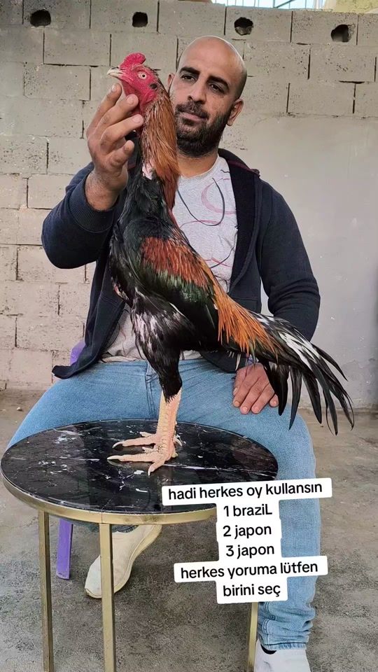 TikTok video thumbnail by kubii6347