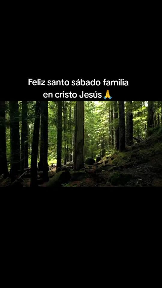 TikTok video thumbnail by 7septimo_adventis3