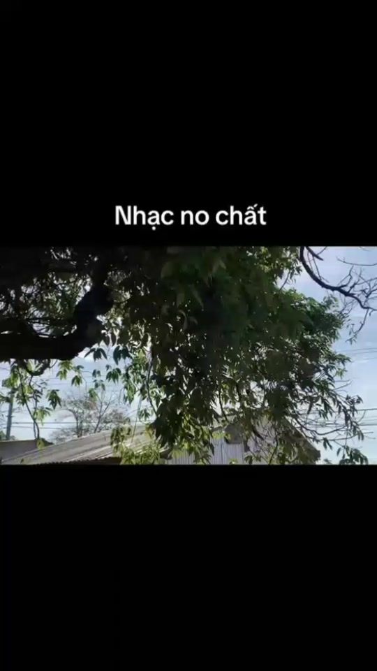 TikTok video thumbnail by khientitan200