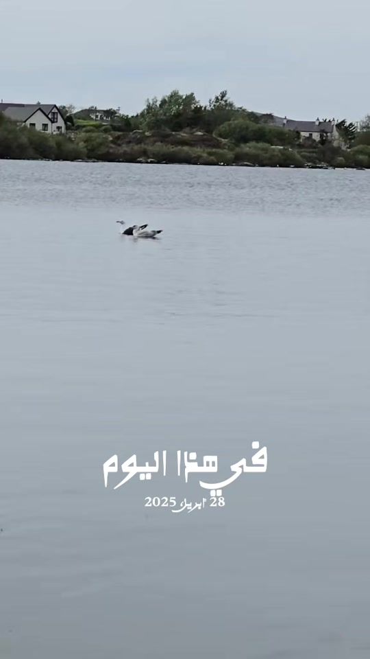 TikTok video thumbnail by ombhr