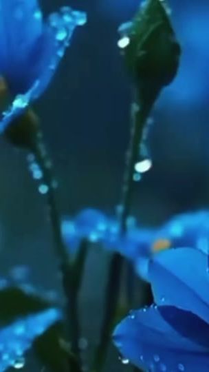 TikTok video thumbnail by ho.___zz30