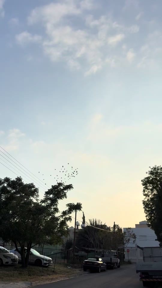 TikTok video thumbnail by kirtivicky2