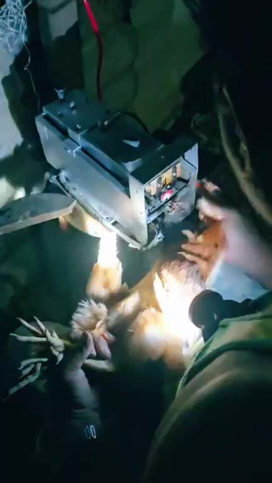 TikTok video thumbnail by harryacz