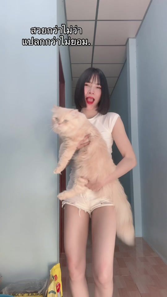 TikTok video thumbnail by saranpornsrichan2