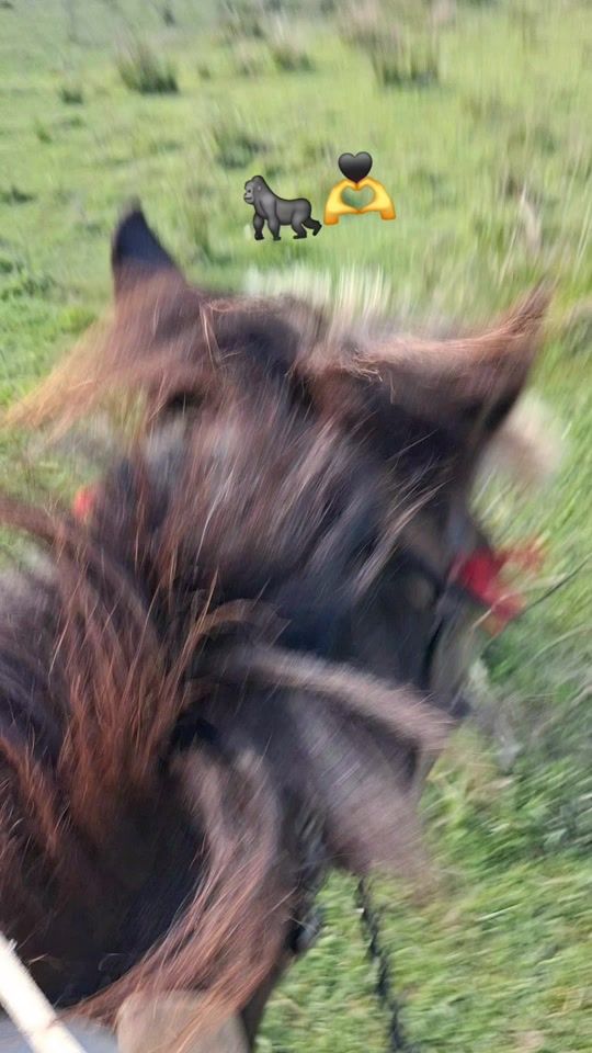 TikTok video thumbnail by ferma617