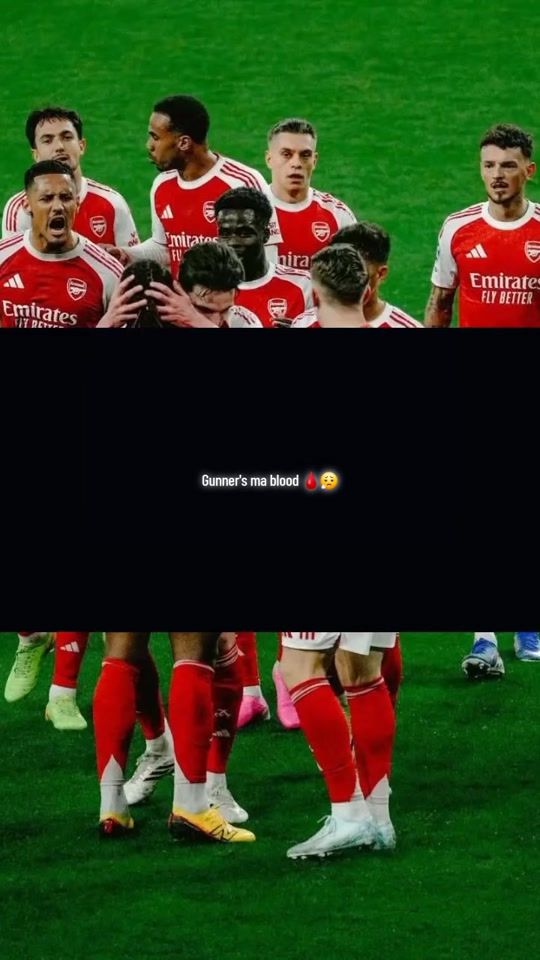 TikTok video thumbnail by ludo_ladro