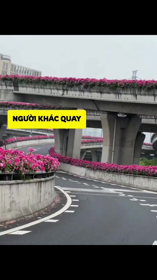 TikTok video thumbnail by alva_1710
