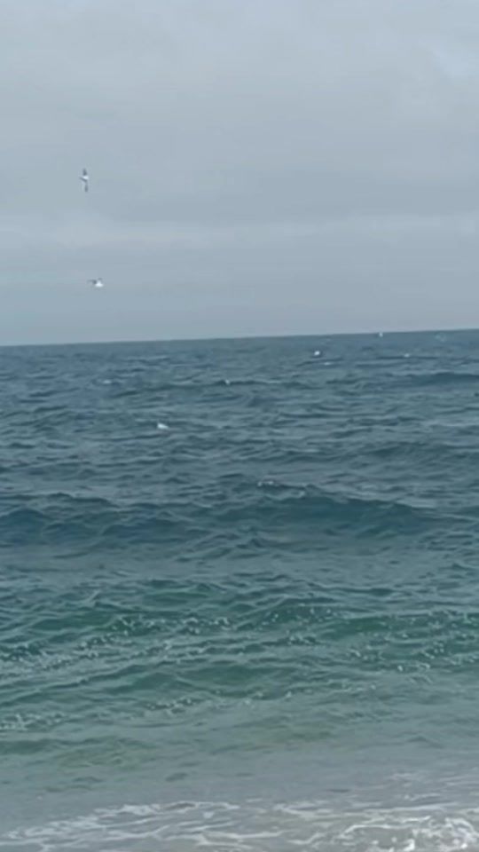 TikTok video thumbnail by pesca.sahara