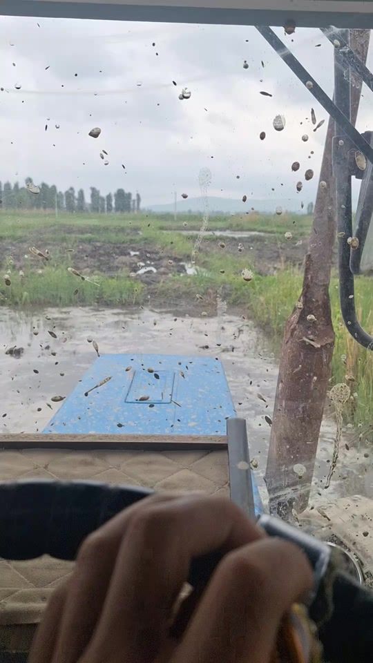 TikTok video thumbnail by k1msan0vv_