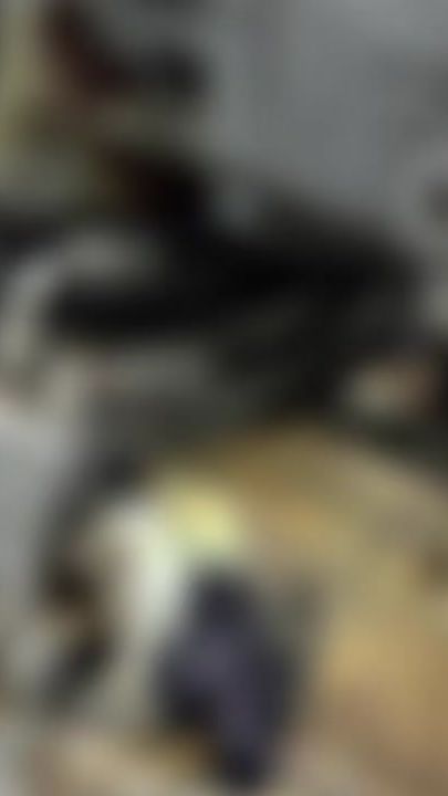 TikTok video thumbnail by agronkosova2