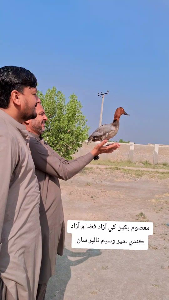 TikTok video thumbnail by sazamrahimoon