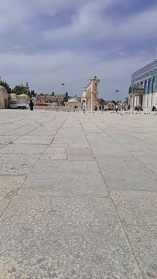 TikTok video thumbnail by wafaaboo2