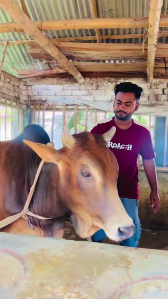 TikTok video thumbnail by sbnaeem57