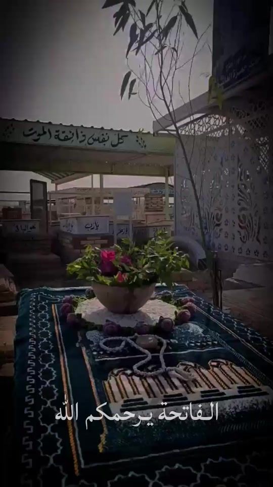 TikTok video thumbnail by 200_kad