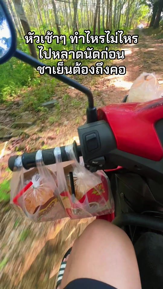 TikTok video thumbnail by exam_p