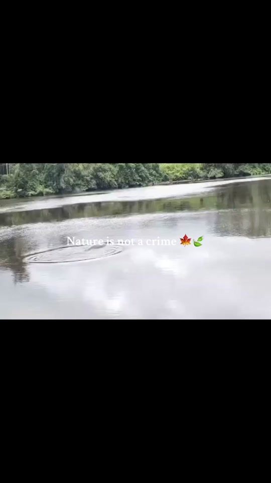 TikTok video thumbnail by rocadasamaroo