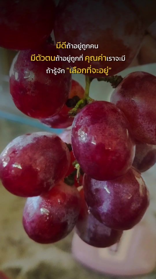 TikTok video thumbnail by karnchayaluck