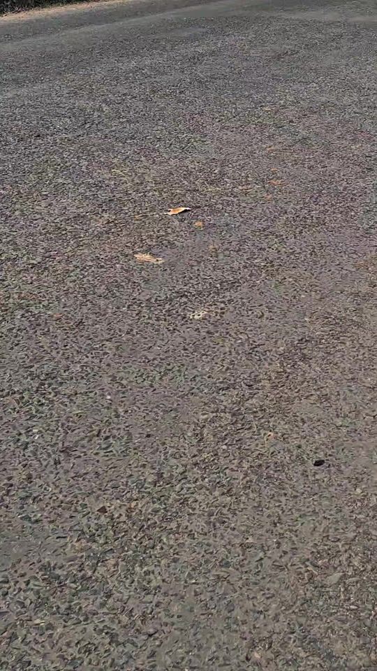 TikTok video thumbnail by terkps2329