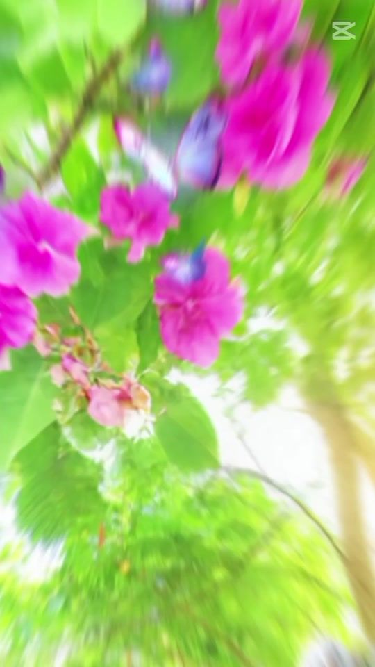 TikTok video thumbnail by kali.nagin22