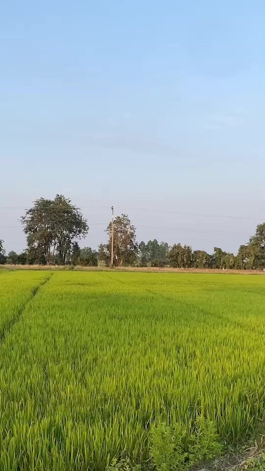TikTok video thumbnail by bangno2510